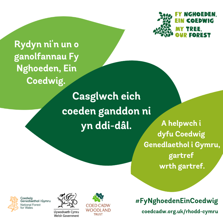 #FyNghoedenEinCoefwig
Bute Park Visitor Centre
Dydd Mawrth a dydd Gwener 1-3pm