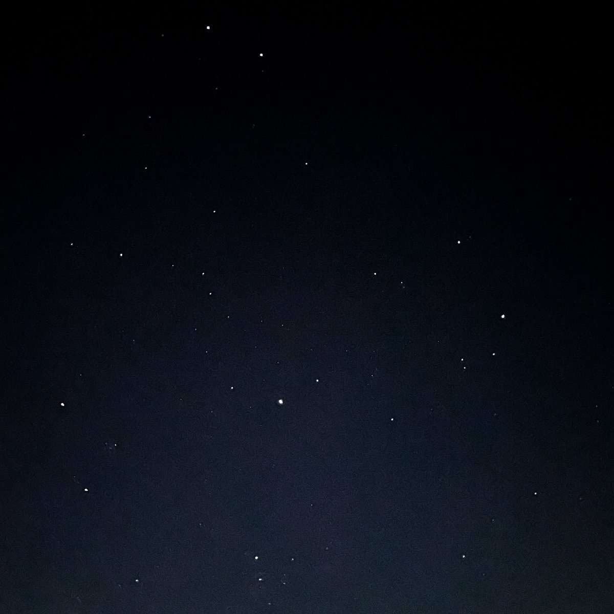 o_ui_o's tweet photo. 朝5時半に外出たら綺麗な星
オリオン座も撮れた
太陽が照る空より
星が光る暗い空の方が私は好きや https://t.co/rOEiBnvVv2