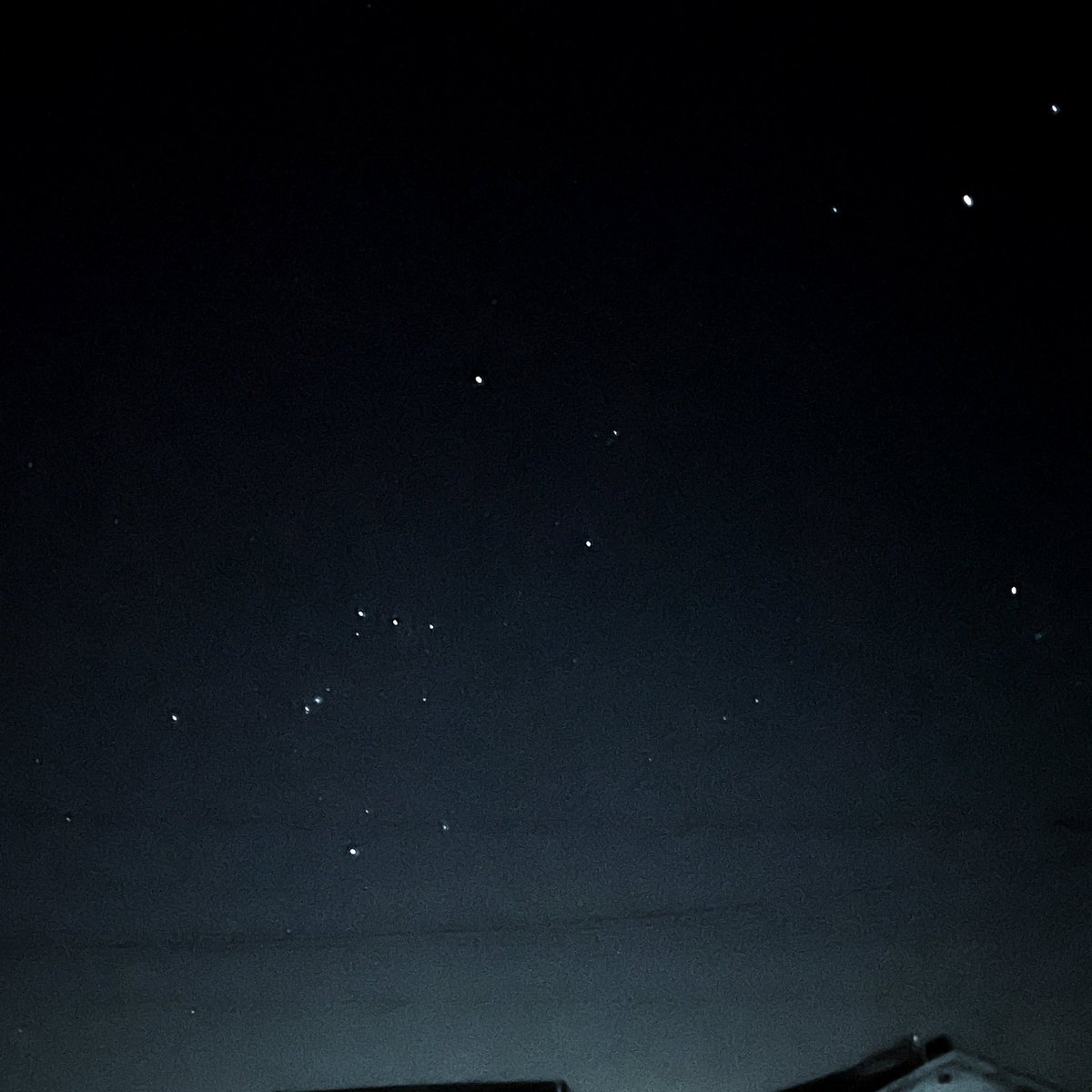 o_ui_o's tweet photo. 朝5時半に外出たら綺麗な星
オリオン座も撮れた
太陽が照る空より
星が光る暗い空の方が私は好きや https://t.co/rOEiBnvVv2