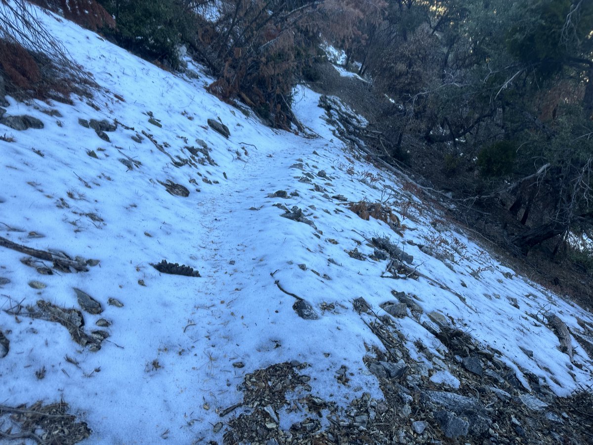 ediesirhc's tweet photo. Beautiful Cone Peak and surprise snow/ice cone #conepeak #ventanawilderness #bigsur #runbigsur #trailrunning https://t.co/TYQWEGMTA1