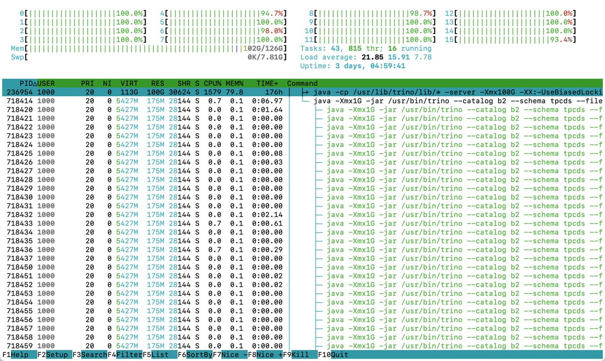 metadaddy's tweet image. Running an informal TPC-DS scale factor 1000 benchmark of @trino on a @vultr VM accessing Parquet tables stored in #BackblazeB2. Absolutely pegging all 16 CPUs!