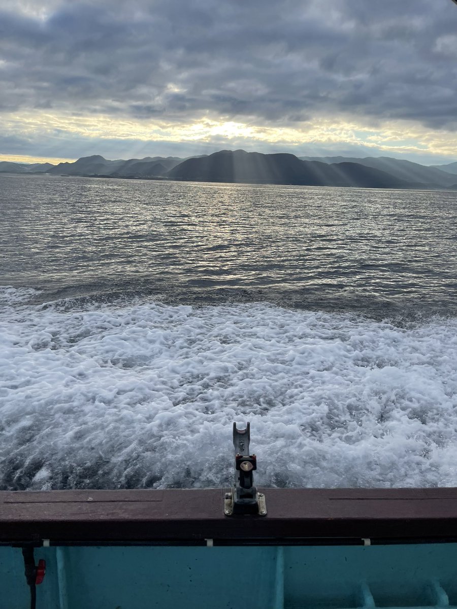 soraosupar's tweet photo. 魚しばきてぇ https://t.co/PB9Da6W75X