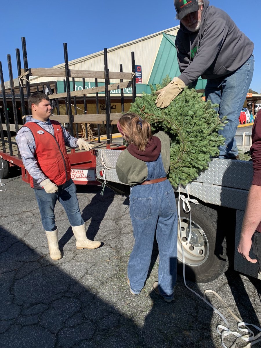 Ace_SouthernHG's tweet photo. It's beginning to look a lot like Christmas here at Ace Hardware Carrolton! We now have live trees and wreaths in store! Come by this weekend and get your Christmas tree now!

We can't wait to help you at Ace The Helpful Place! https://t.co/EsVOdeoYIz