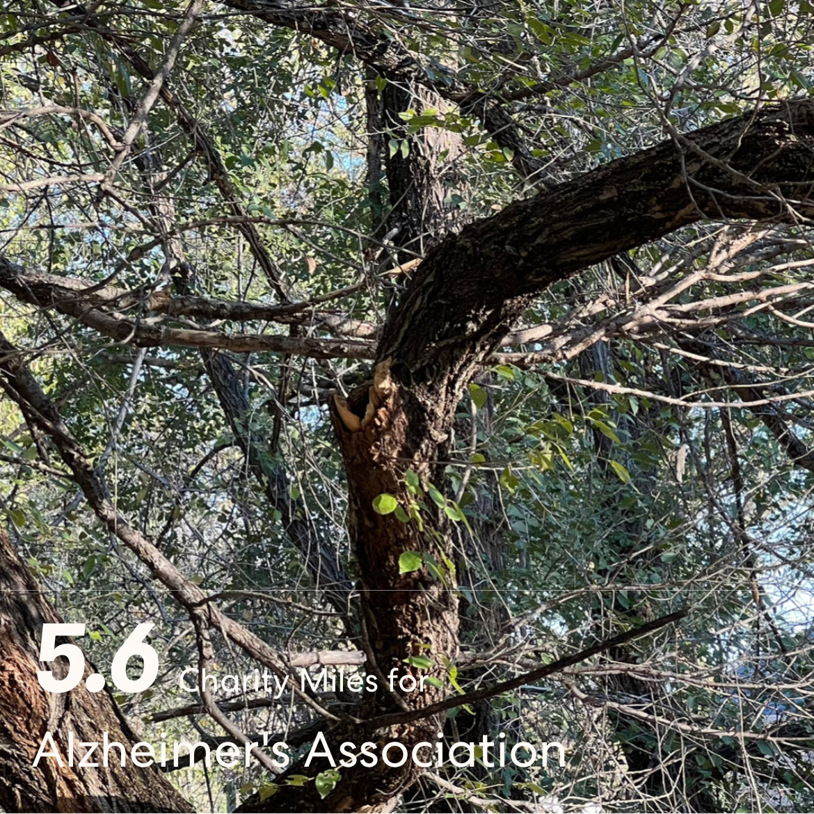 5.6 gorgeous #charitymiles  for ⁦<a href="/alzassociation/">Alzheimer's Association</a>⁩.