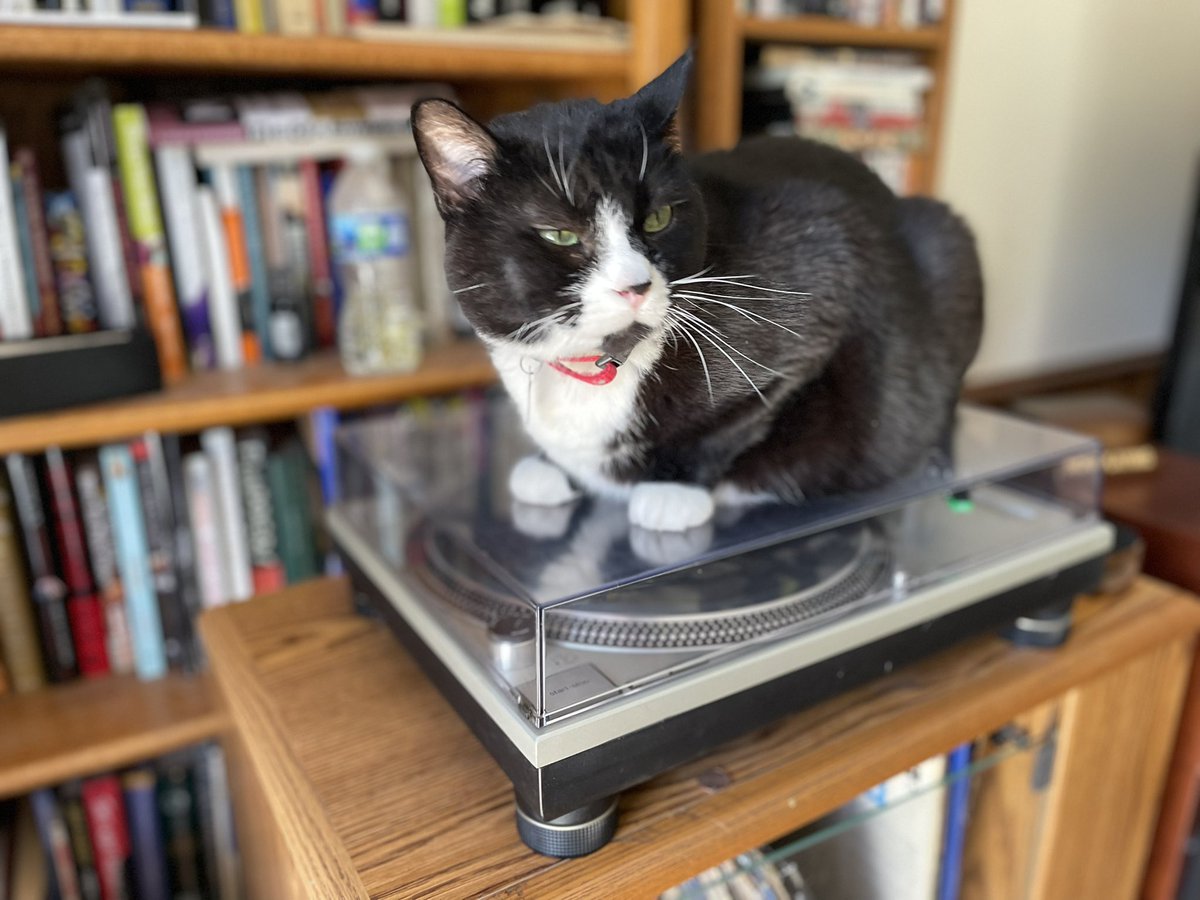 tvman65's tweet photo. Spinning vinyl with my cat. #TipsIfTwitterGoesDown https://t.co/UAByE6ZWK2