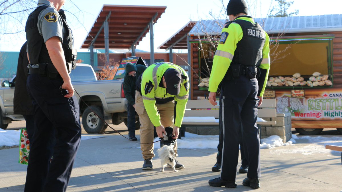 EdmontonHumane's tweet photo. We had a PAWsome time with our partners from @CityofEdmonton Animal Care & Control Centre at the #MADEforPETS Holiday market today!
Thank you to all of the local vendors, people & pets who joined us - and our volunteers who helped make today possible! π€πΎ https://t.co/gKCfpjtTcT
