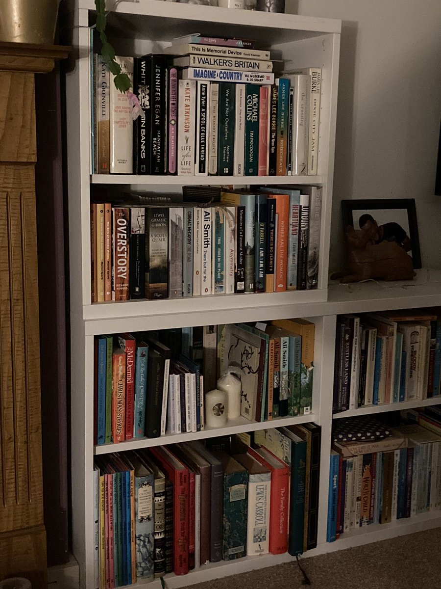 burdzeyeview's tweet photo. A late entry for #BookWeekScotlandshelfie which will no doubt horrify folk with its eclectic, random disorganisation. One of many such examples around the house. Yet I know where to find every book I own.. #BookWeekScotland https://t.co/fCGNnquFgz