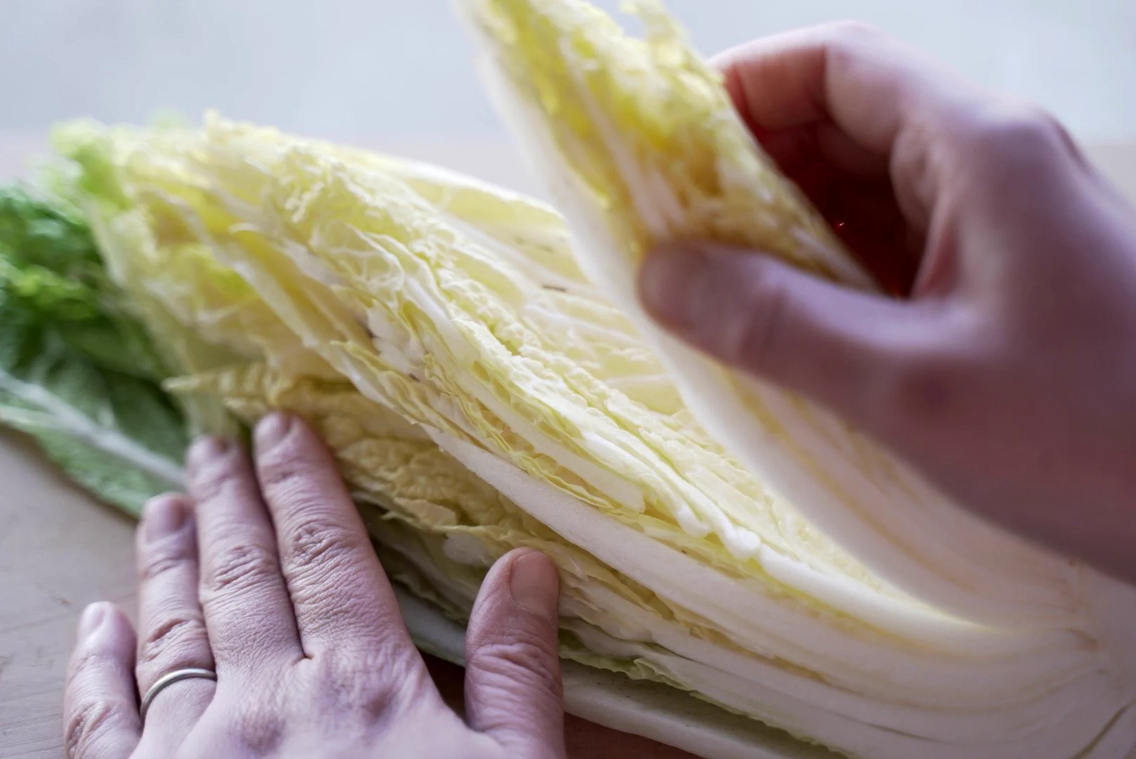 カットされた白菜は実は内側から使った方が良いってよ‼