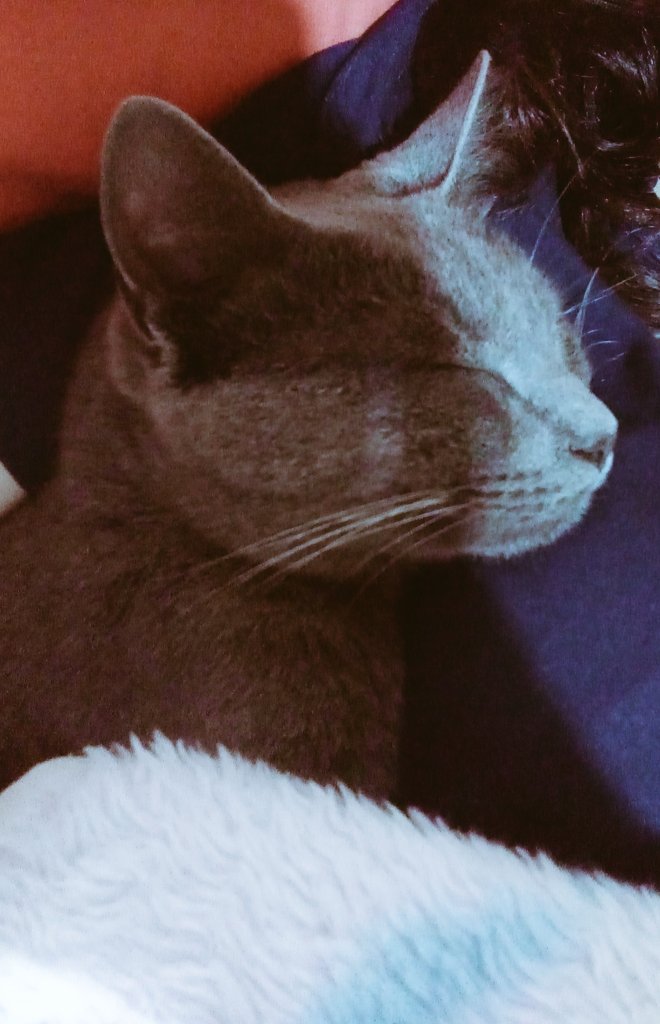 _mariarp_'s tweet photo. meu filho mt lindo, prft, zero defeitos https://t.co/mWoVybKBTy