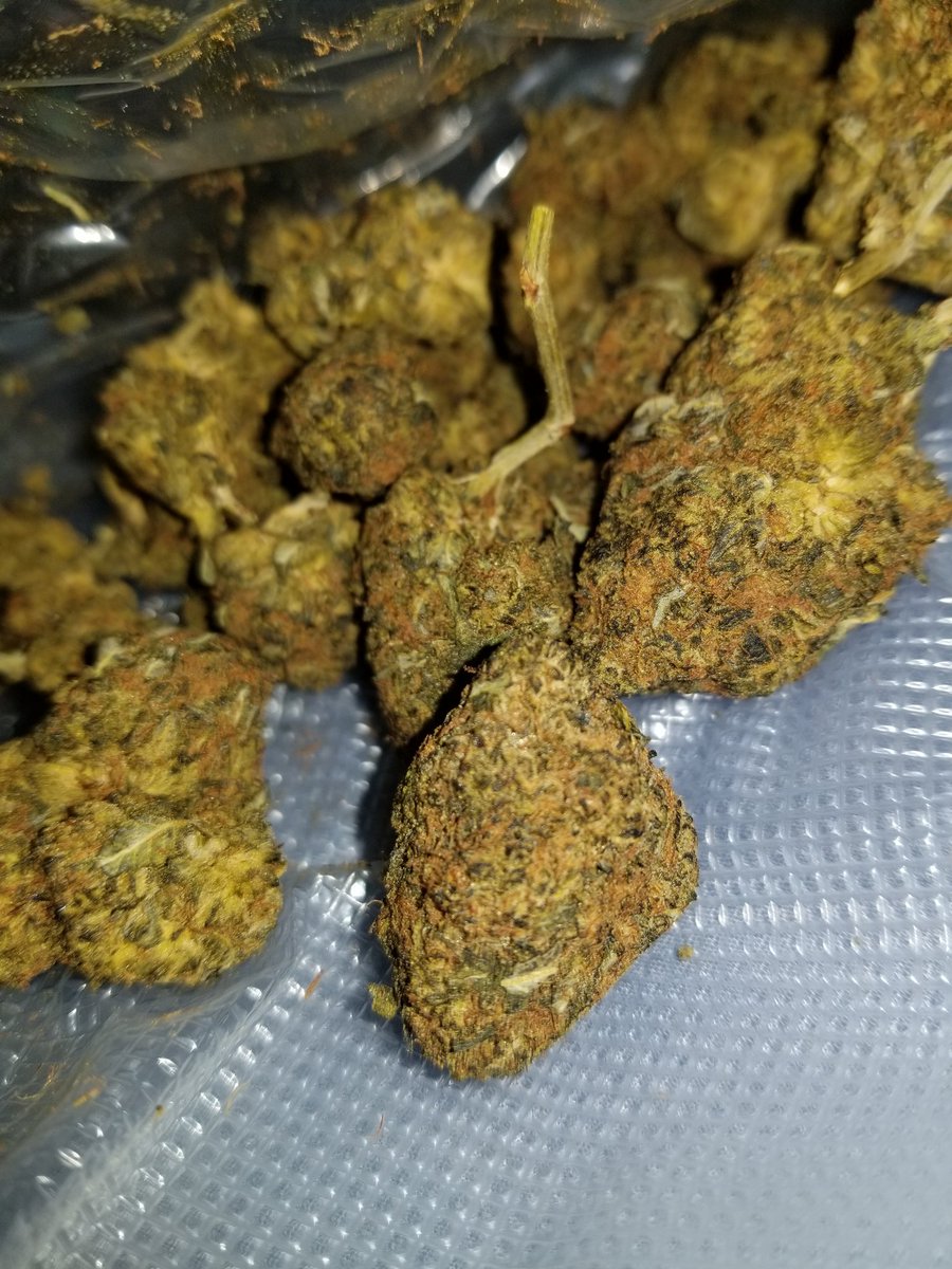 RBGWeed705's tweet photo. https://t.co/cDm2fI2P3G