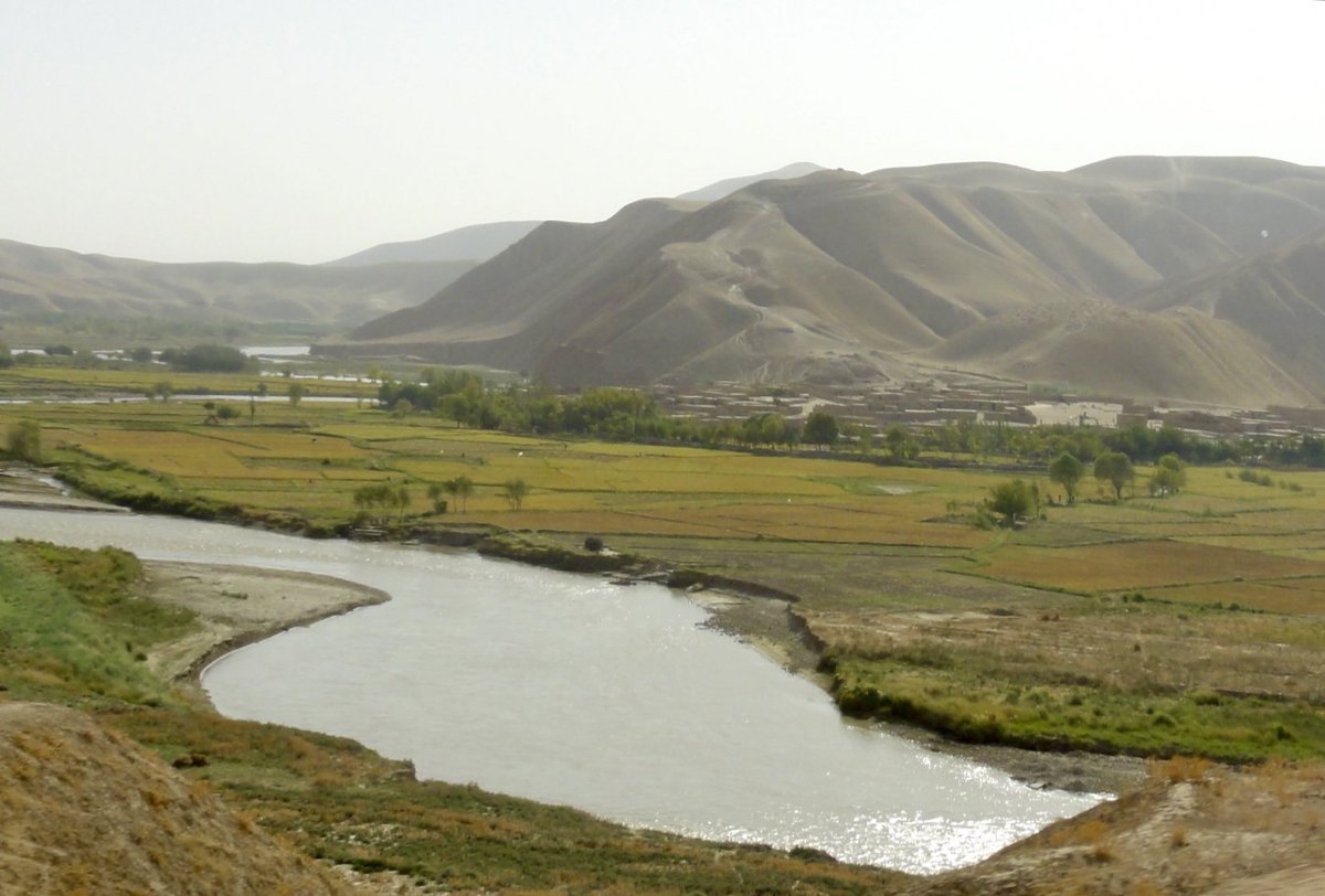 Jessica Berlin tweet media