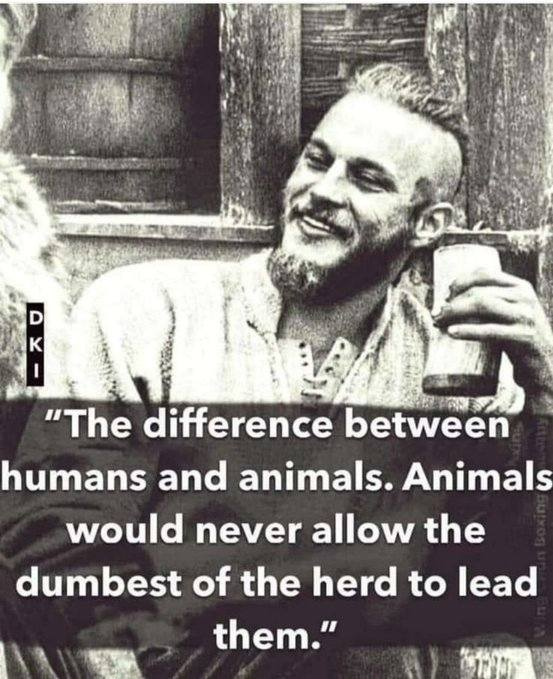 And yet here we are. #trump2024
cutt.ly/dakotas-memes-…
