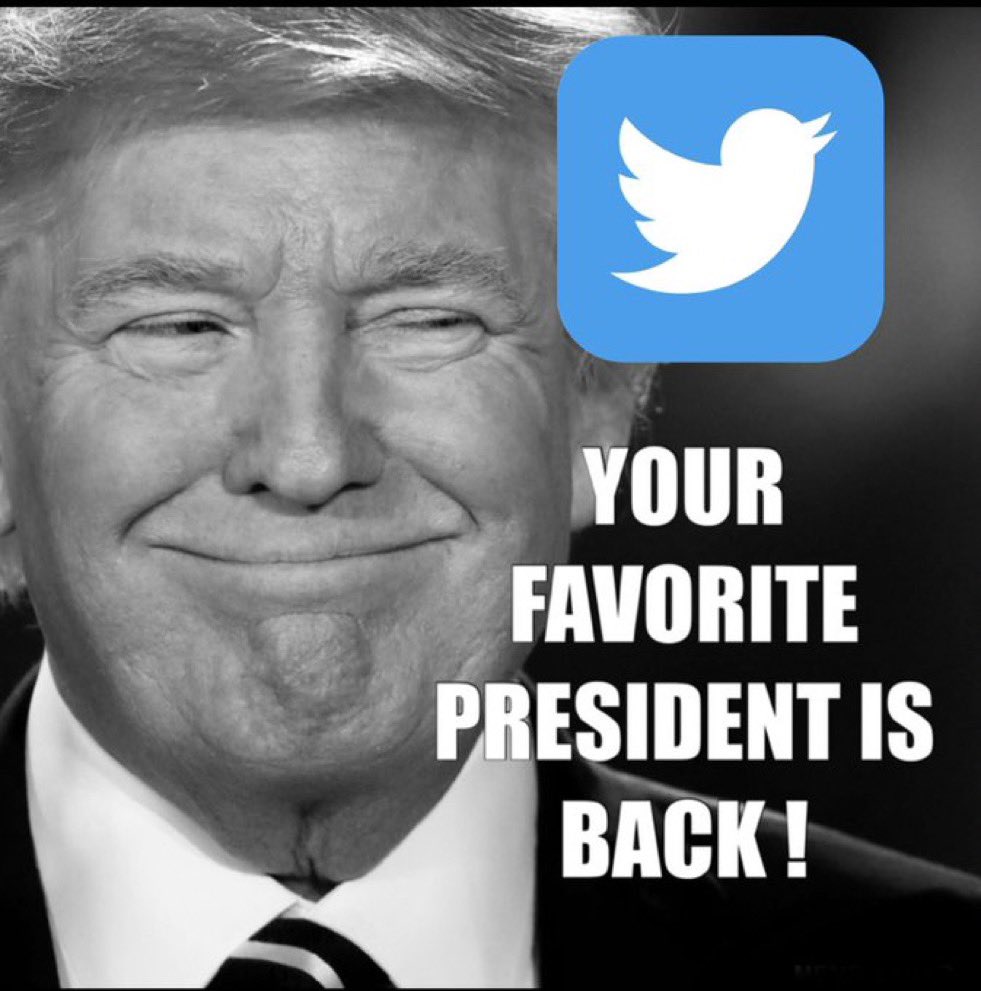 hbfarrells's tweet image. #HeIsBack