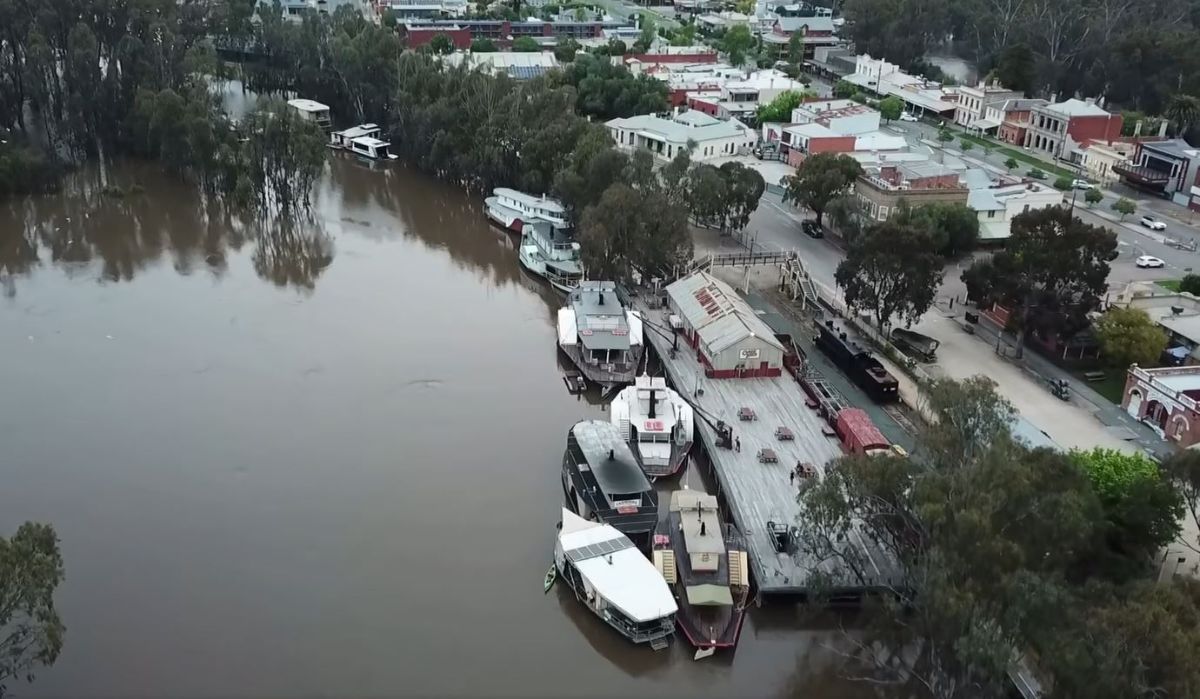 MurrayRiverPS tweet media