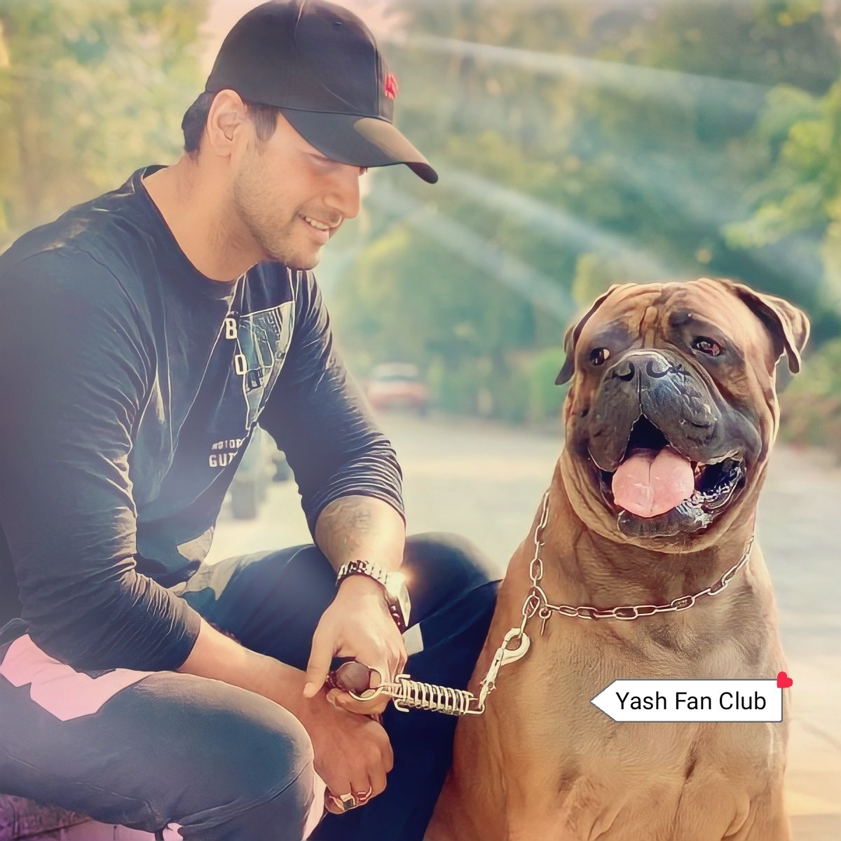 YashFanCluboffc's tweet photo. Good Morning...✨❤️

@Yash_Dasgupta
#yashdasgupta #yfc #weloveyouyash #ouridolyashD #tollywoodactor #animalloverYD #doglover https://t.co/xoiXMijmaq