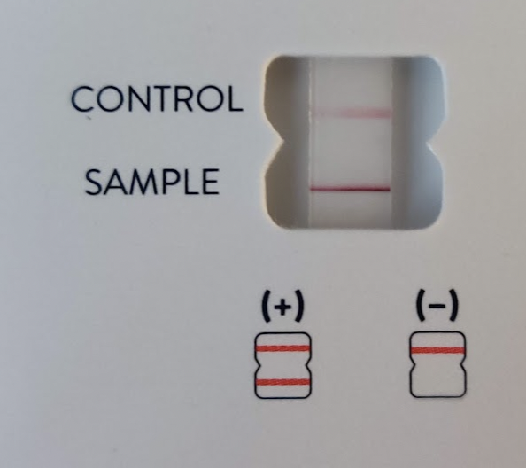 niu arx on Twitter "Ah so thats why i've been coughing and throwing up