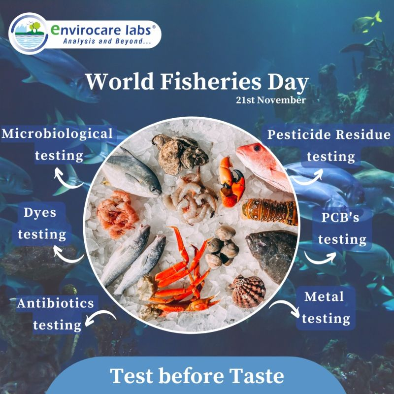 EnvirocareLabs's tweet photo. Happy #worldFisheriesDay2022 🎣
Let's celebrate it by looking into different #qualitytesting solutions for auditing, testing, and inspecting to verify that it satisfies food safety and quality for the #globalmarkets
#envirocarelabs #analysisandbeyond #qualityindia https://t.co/iee2kZ2455