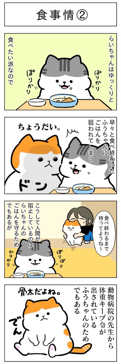 食事情①②│フェリシモ猫部 https://t.co/H4eMRT7pMf 