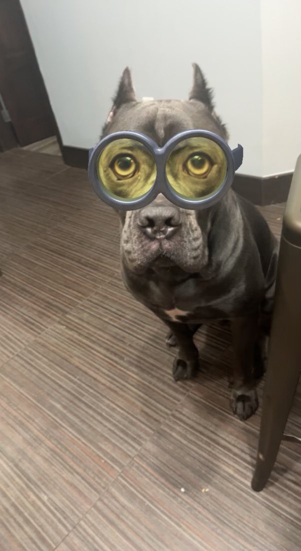 Laurier Dogs tweet media