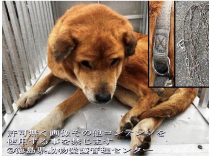 Vfuaiarj3ijeum Vfuaiarj3ijeum