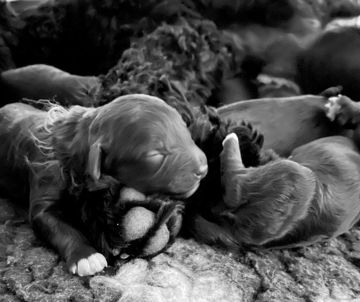 Be kind, always. Tenker på alle som er uenige i saker, på alle som må mene noe om alt, på de som må ha rett. Man kan være enig om å være uenig, men ikke glem å være greie mot hverandre. Ikke glem historien dere har sammen. Ta vare på hverandre. Livet er for kort.