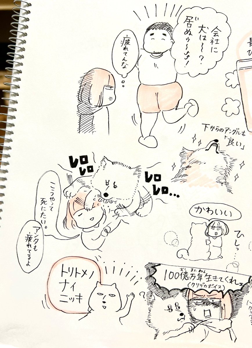 ゆる日記:まるでこたつソックス買うか迷ってます 