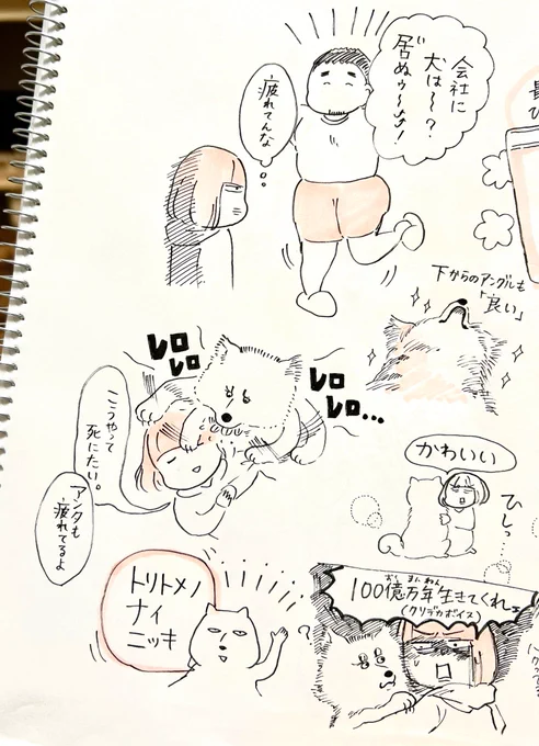 ゆる日記:まるでこたつソックス買うか迷ってます 