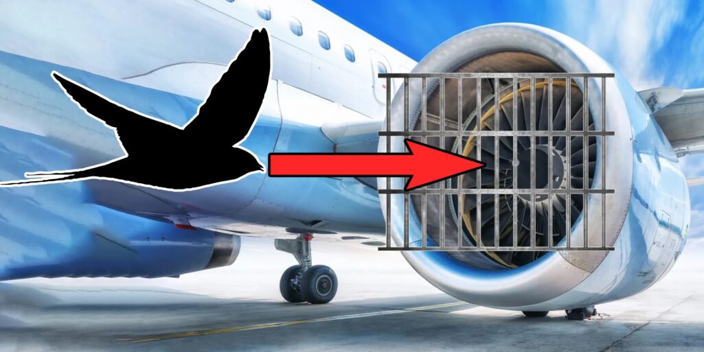¿Por qué los motores de los aviones no les instalan rejillas protectoras contra pájaros?