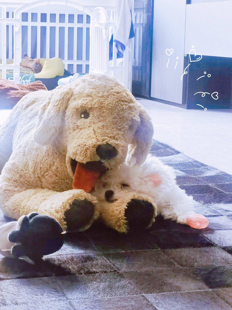 WHONFTCLUB's tweet photo. puppy and his best friend～ https://t.co/MK8zU90qWd