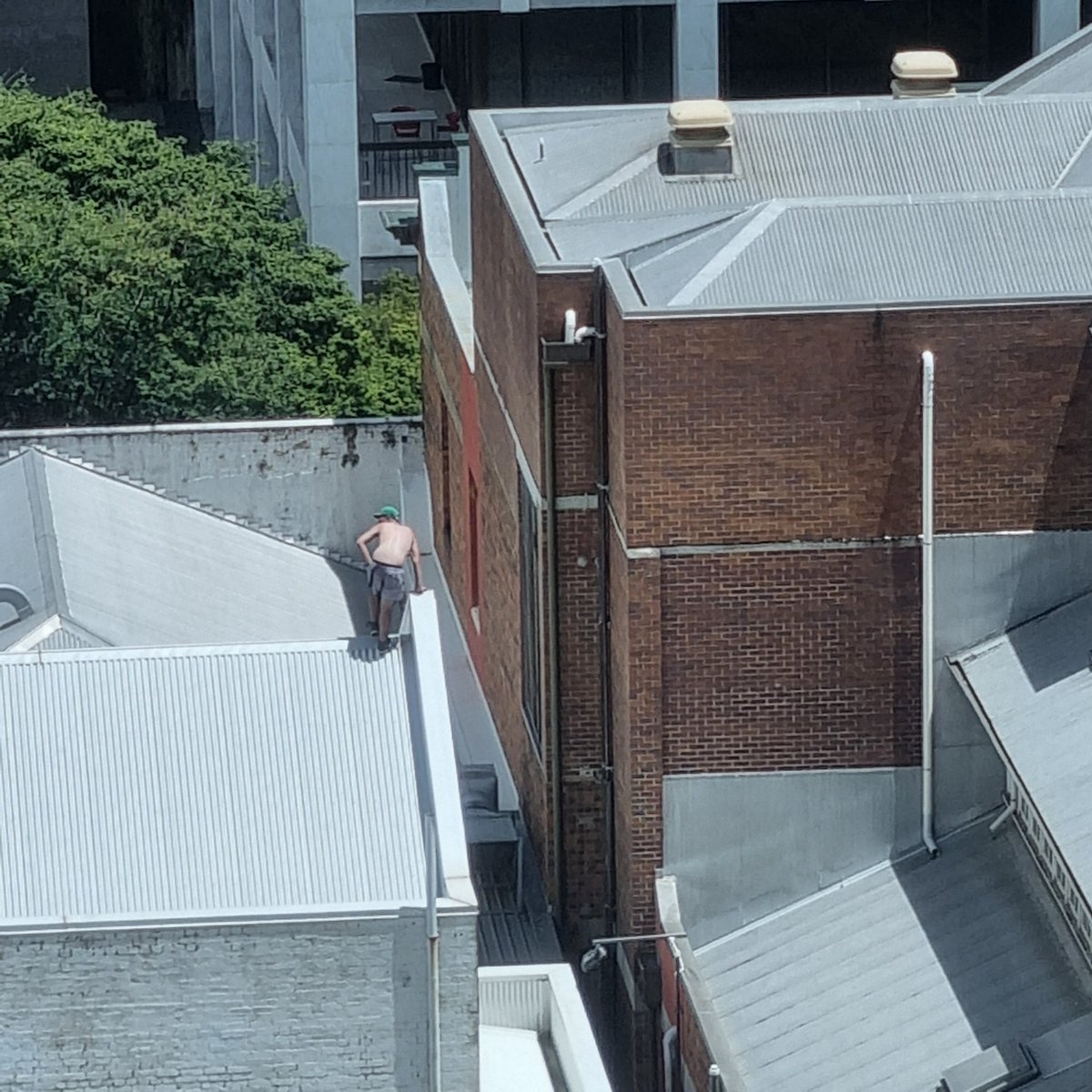 ashmosfear's tweet photo. @QldPolice hey there is a sketchy dude claiming all over the roof at 249/245 Albert St and he looks at risk of falling. (We called 000) https://t.co/D0d44hOmrh