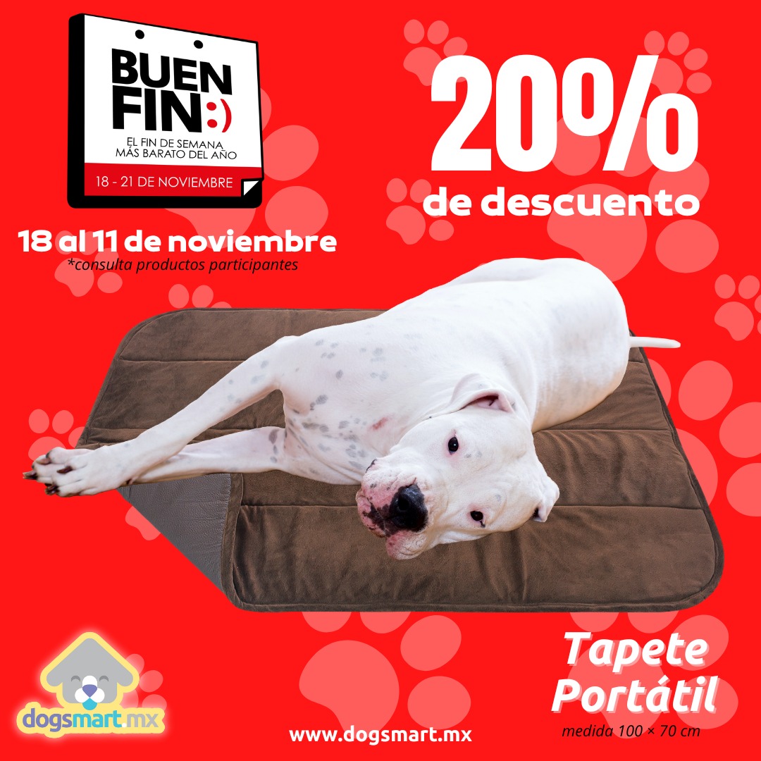 DogsmartMx's tweet photo. Encuentra las ofertas del #BuenFin2022 en https://t.co/yuj0P77NGq
.
#OFERTAS #QatarWorldCup2022 #ofertasamazon https://t.co/F0j1BuKvkm