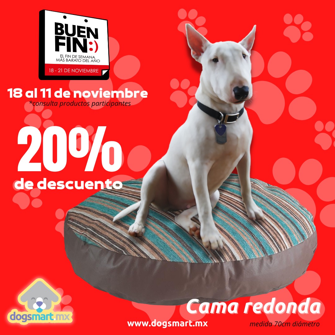 DogsmartMx's tweet photo. Encuentra las ofertas del #BuenFin2022 en https://t.co/yuj0P77NGq
.
#OFERTAS #QatarWorldCup2022 #ofertasamazon https://t.co/F0j1BuKvkm