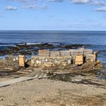 ツイートに含まれる画像