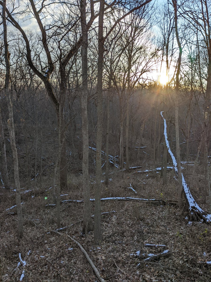 lumbersnack14's tweet photo. Long weekend in the woods mean ribs at the end of the day.  No deer. It's hog tonight. @Currentsmokebbq @StewsSauce @Grabthebrisket @2ndhandsmokehtx @ChicksSmoke @SmokinintheUSA @armstrong8785 @PabstBlueRibbon @BuschBeer @HawkeyeFootball @IowaPork https://t.co/bnylvEMyen