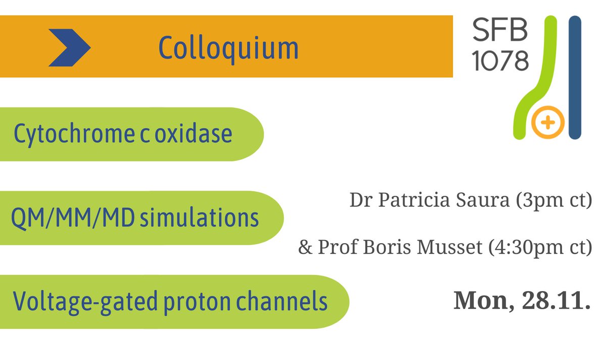 1078Sfb's tweet photo. Next colloquium, @p_saura_ @Stockholms_univ presents CcO molecular gating in #protontransfer reactions.
After, Prof Boris Musset @KlinikumNbg presents pH-dependent gating in the Hv1 #protonchannel.🗝️🤓
📍Hörsaal B @PhysikFUBerlin
🗓️28.11
⏰3pm ct
info: https://t.co/OGyLB3CCTf https://t.co/3nhY1AZ4d0
