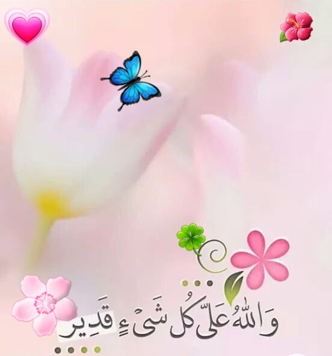 Asmaraii1's tweet photo. السلام علیکم💐💖
صبح بخیر زندگی 🌸☀ https://t.co/SXZ5aIMppJ