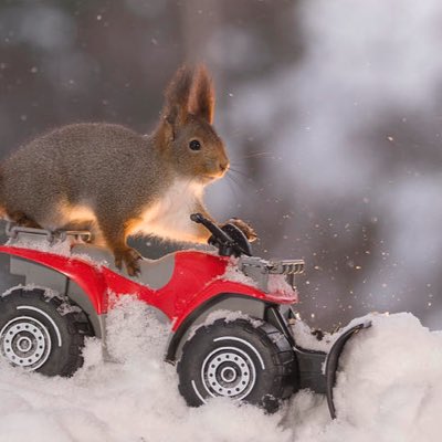 #NewProfilePic