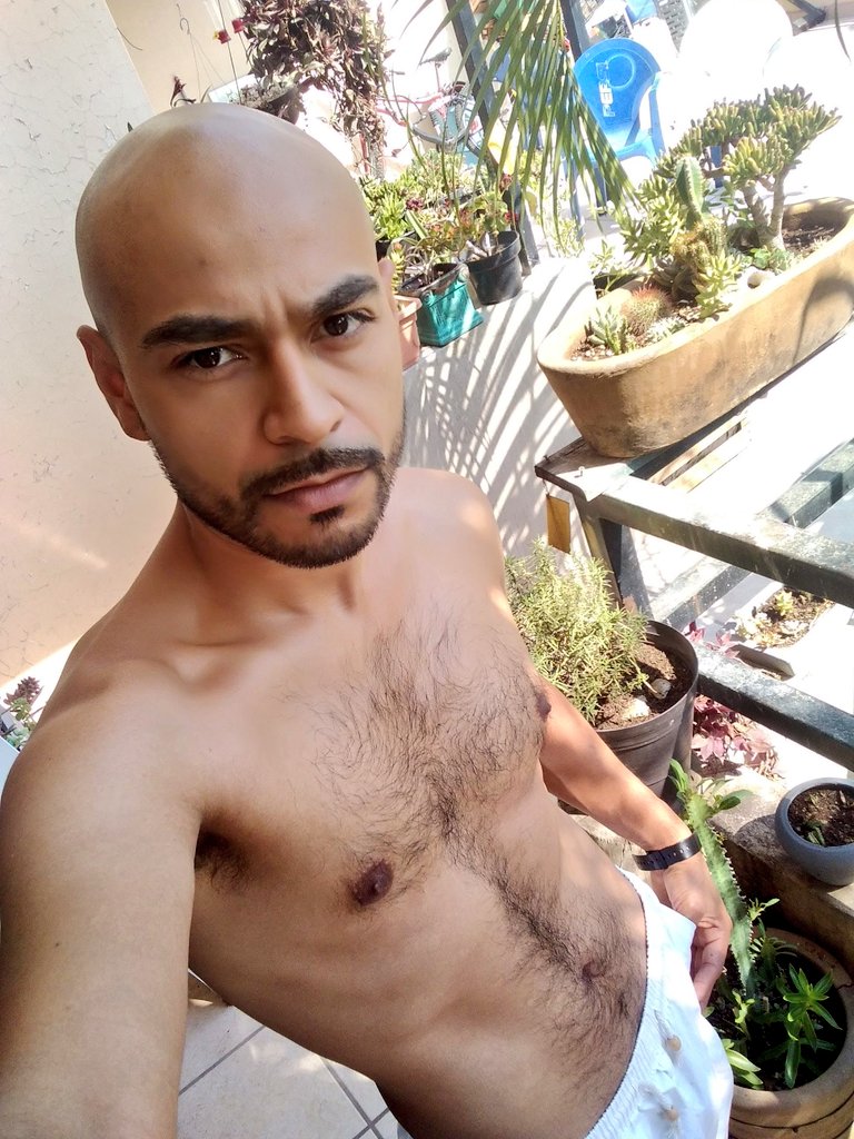 patochanmx's tweet photo. I will survive 💔
#pansexual #gdl #latinlife #selftime #selflove https://t.co/J6hTMmAEKi