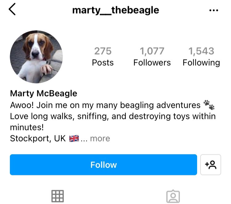 Abbie ware, former MBR employee. Abbie like other freakish MBR workers has a pet beagle from MBR too. Abbie happily defends MBR acres and their appalling conditions and treatment of the beagles #AnimalAbusersExposed #EndTheAbuse