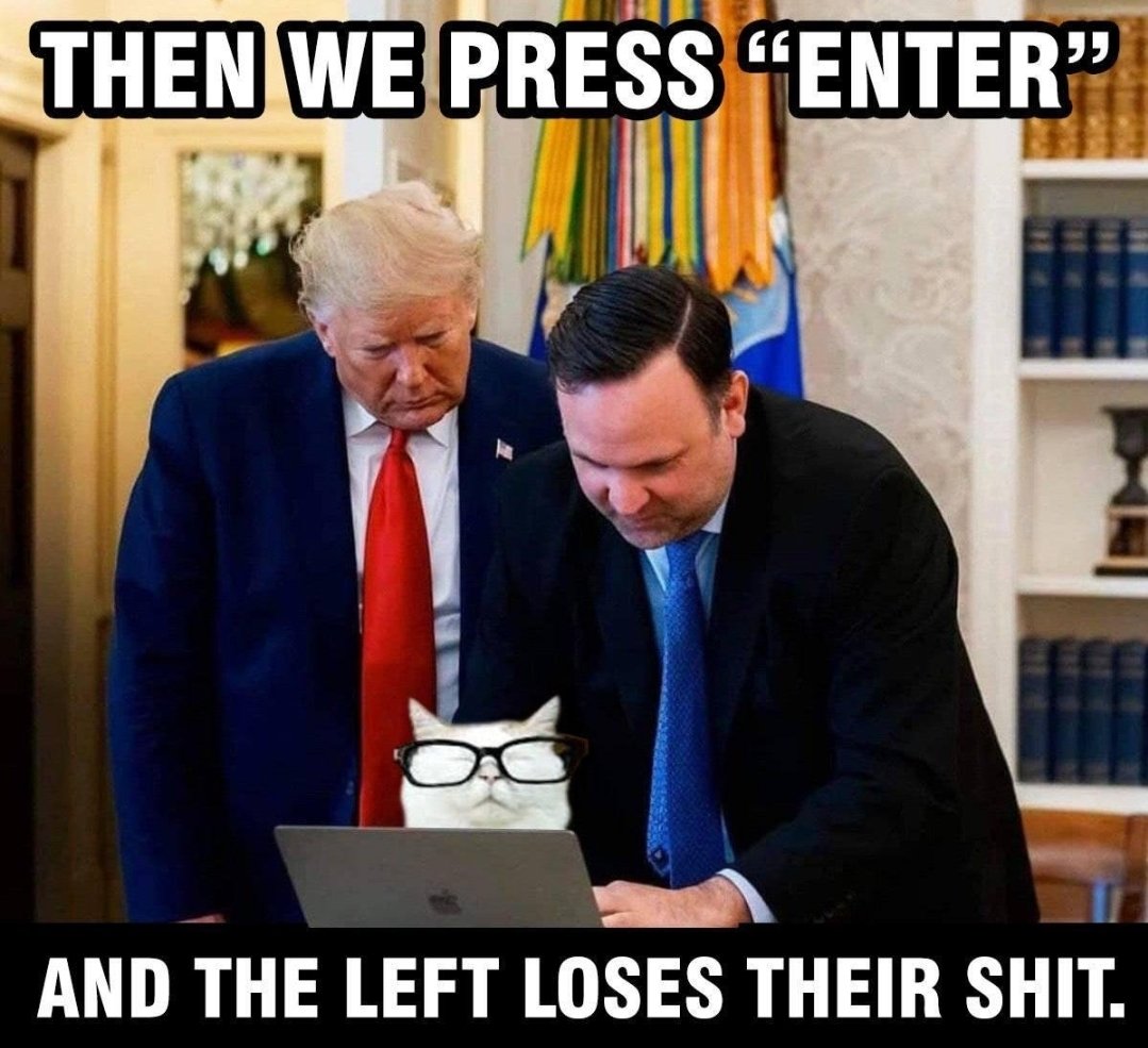 Dani Pajak tweet media