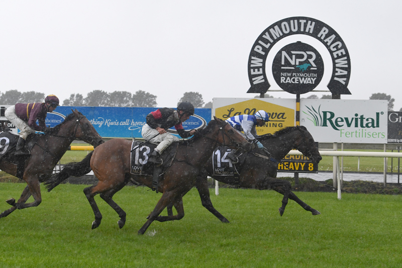 PencarrowStud's tweet photo. #Pencarrow mare #PearlOfAlsace (NZ) got her career off to a perfect start with a debut victory at New Plymouth. Trained by Shaune Ritchie and Colm Murray, she was sent out as one of the favourites to win the NZB Insurance Pearl Series (1400m).💙
📰: https://t.co/dmUf0x1O6n https://t.co/ONwjYjnsQO
