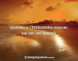 SilveiraAlexf's tweet photo. @megamega_7 https://t.co/drUAdtKgrb