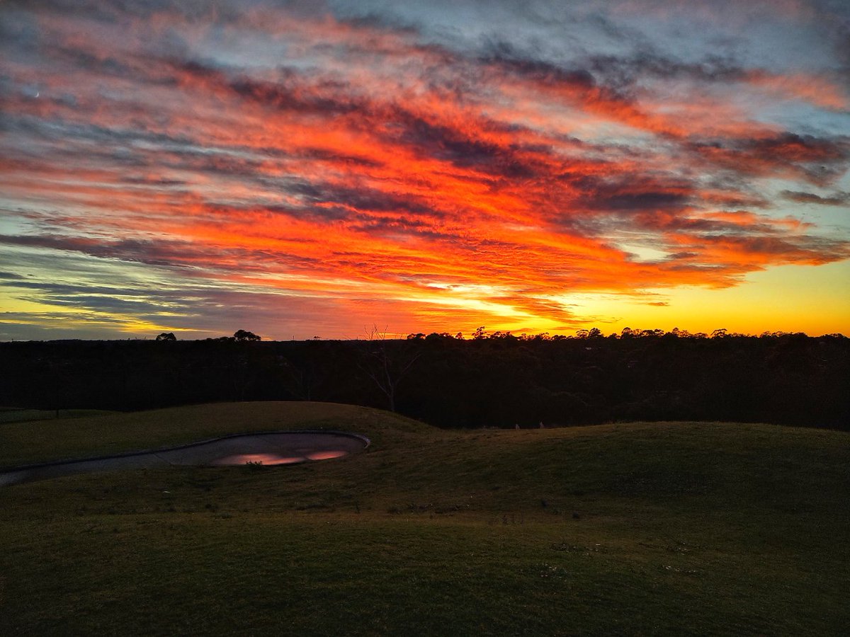 The Royal put on a show this morning #sunrise #teetime #golfsydney #sydneygolf #publicgolf #ゴルフ #morninggolf #kuringgai #golf #sunrisegolf #elitegolfnsw #golflife #golfers