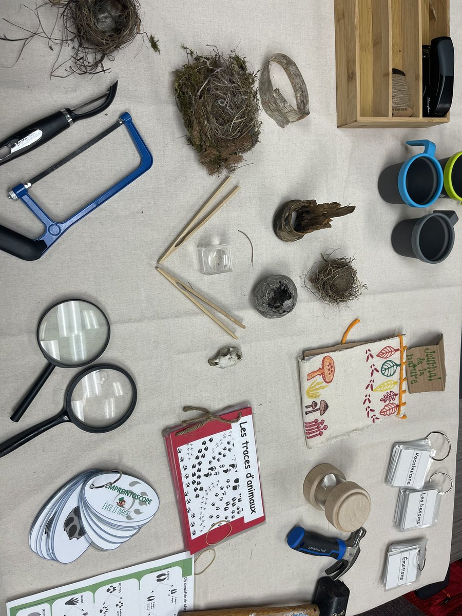 Cours d’intro M-8 classe nature: au CECCE: historique, 10 principes, continuum, curriculum émergeant, santé/sécurité, gestion du risque, 4 sphères du dév. éléments pratiques, enquêtes, vocabulaire…nos praticiennes Explor’A à l’œuvre! SSA CI-PED <a href="/annemichele04/">Anne-Michèle</a> <a href="/ecolecatholique/">CECCE</a>