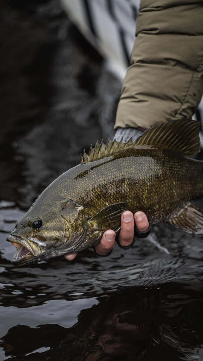 Use our link in bio to check out Simms Pro- Bob Downey’s Gift Guide. #FishItWell