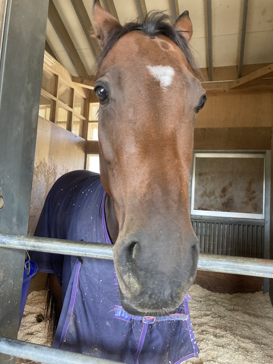 توییتر ユメノトビラ جستجوی توییتر