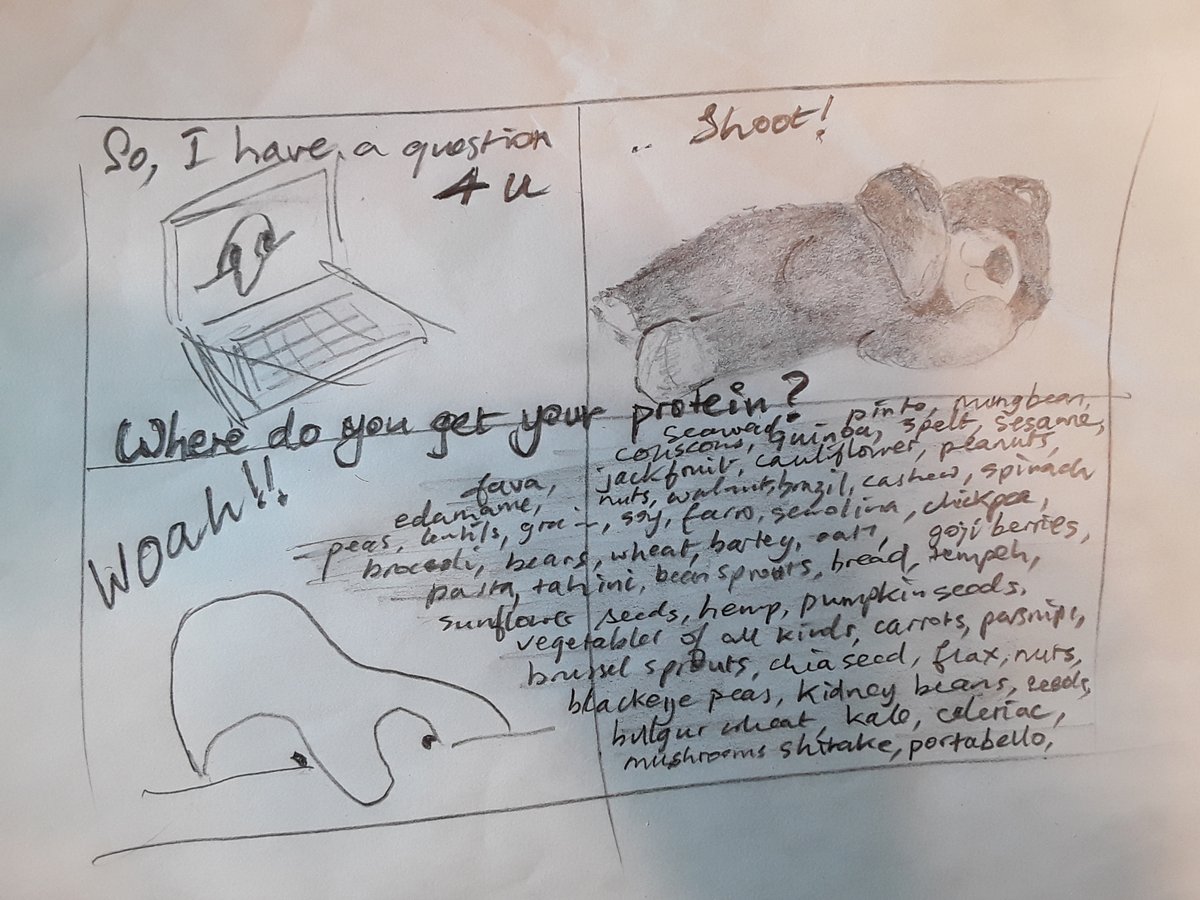 observablebear1's tweet image. 