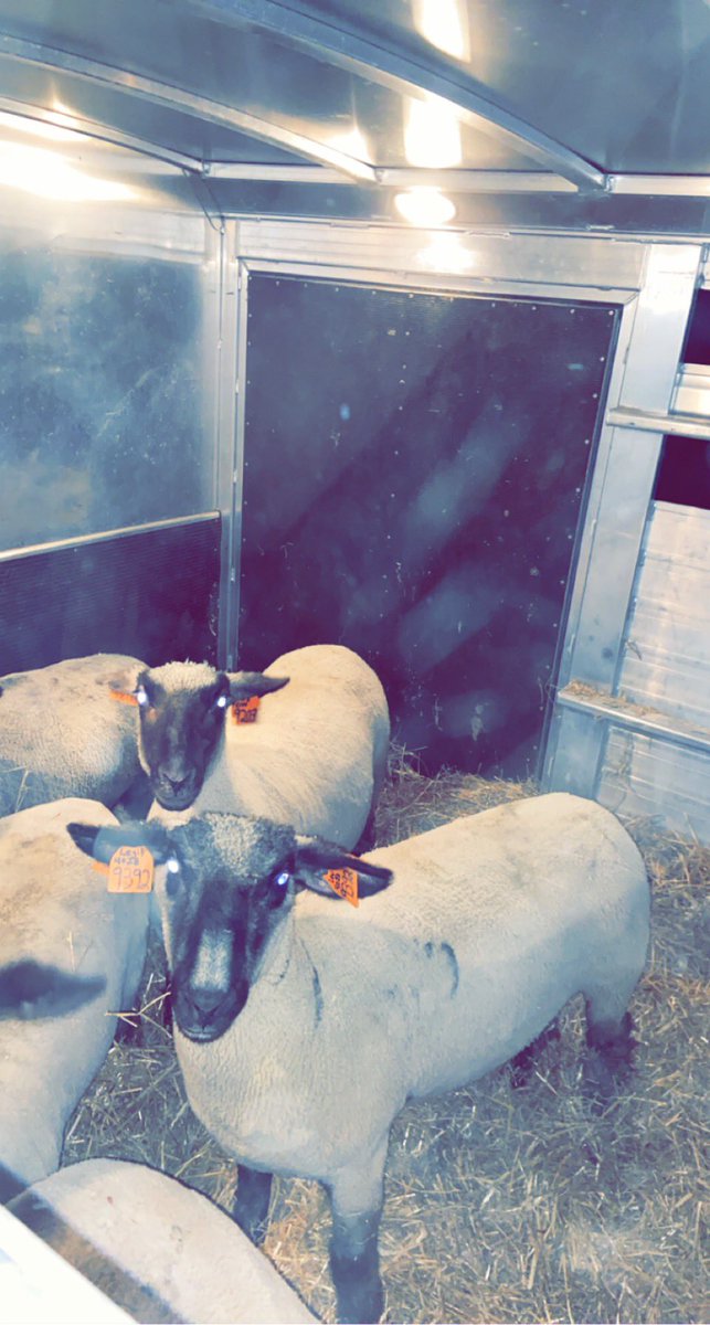 Justin Cluxton tweet media