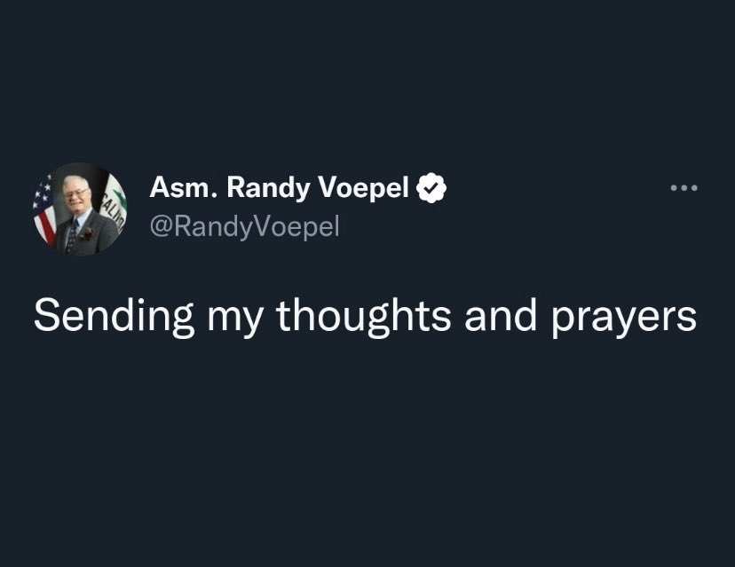 Kaylan_TX_'s tweet image. Just so we’re clear here, Assemblyman Voepel’s grandson was the mass shooter in Colorado