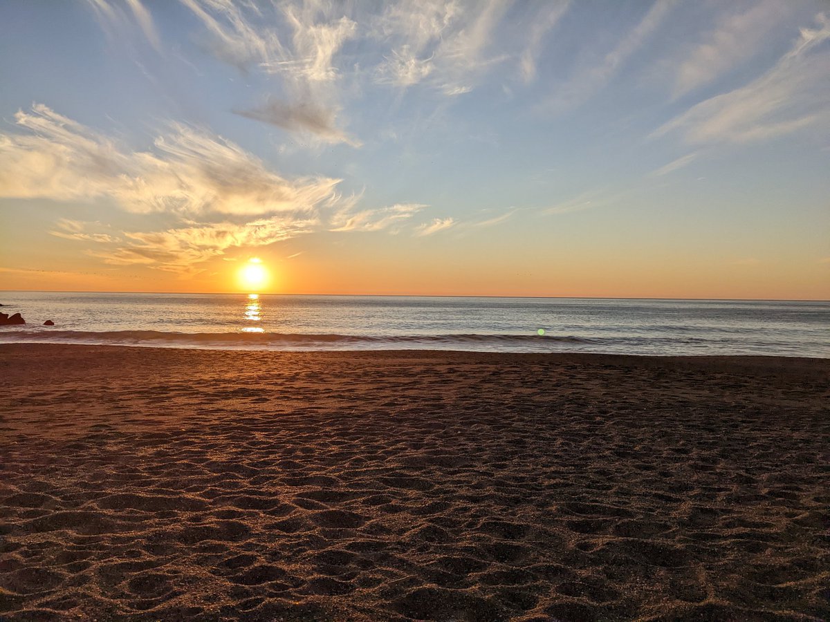 Alex Ponce de Leon tweet media